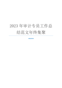 2023年审计专员工作总结范文年终集聚