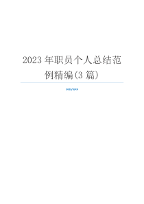 2023年职员个人总结范例精编(3篇)