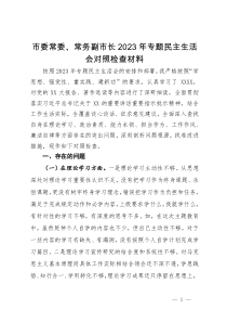 市委常委、常务副市长2023年专题民主生活会对照检查材料