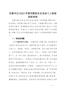 区委书记2023年度专题民主生活会个人检视剖析材料