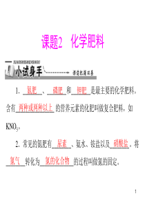 【九年级下册化学】第十一单元 课题2 化学肥料