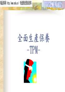 全面生产保养TPM(PPT30页)