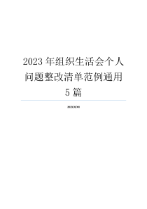 2023年组织生活会个人问题整改清单范例通用5篇