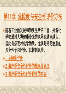 12第11章危险度与安全性评价方法