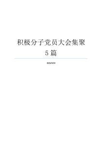 积极分子党员大会集聚5篇