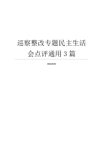 巡察整改专题民主生活会点评通用3篇