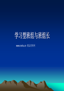 学习型班组与班组长（PPT45页）