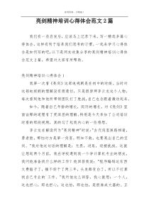 亮剑精神培训心得体会范文2篇