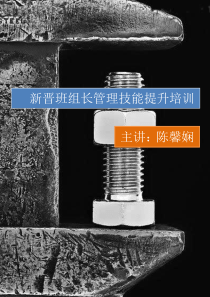 新晋班组长职业技能提升培训方案