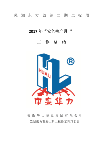 2017年安全生产月活动总结