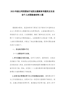 2023年度公司党委班子成员主题教育专题民主生活会个人对照检查材料2篇