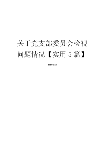 关于党支部委员会检视问题情况【实用5篇】