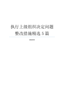 执行上级组织决定问题整改措施精选5篇