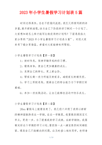 2023年小学生暑假学习计划表5篇