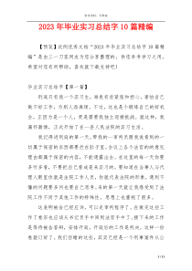 2023年毕业实习总结字10篇精编