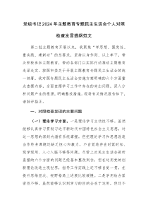 党组书记2024年主题教育专题民主生活会个人对照检查发言提纲范文