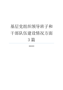 基层党组织领导班子和干部队伍建设情况方面3篇