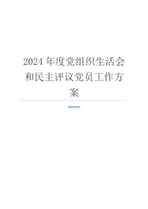 2024年度党组织生活会和民主评议党员工作方案