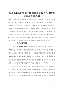 某县长2023年度主题教育专题民主生活会个人对照检查剖析发言提纲