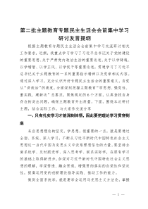 第二批主题教育专题民主生活会会前集中学习研讨发言提纲