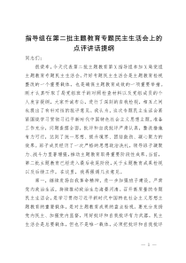 指导组在第二批主题教育专题民主生活会上的点评讲话提纲