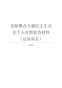 巡察整改专题民主生活会个人对照检查材料（法院院长）