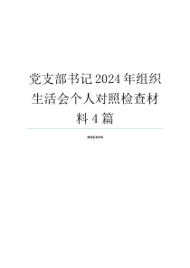 党支部书记2024年组织生活会个人对照检查材料4篇