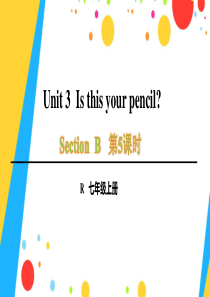 第5课时（Section B 3a-Self Check） (29)