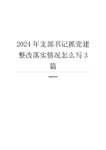 2024年支部书记抓党建整改落实情况怎么写3篇