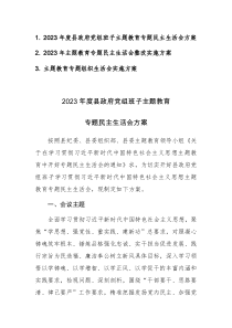 三篇：2023年主题教育专题民主生活会整改实施方案范文（新六个方面）