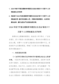 两篇：党组班子2024年度主题教育专题民主生活会“新六个方面”对照检查及相互点评意见发言 (践行