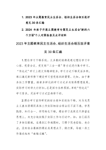 2023年主题教育民主生活会、组织生活会相互批评意见30条汇编+（求真务实、狠抓落实等新六个方面