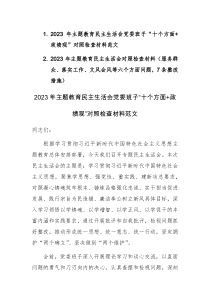 2023年主题教育民主生活会党委班子“十个方面+政绩观”对照检查材料范文2篇