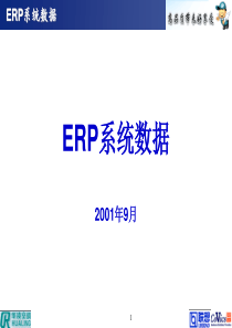 ERP系统数据