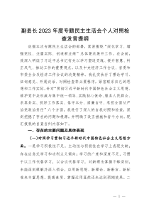 副县长2023年度专题民主生活会个人对照检查发言提纲