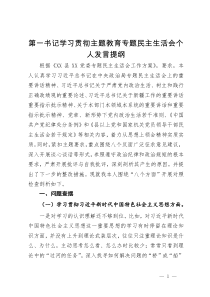 第一书记2023年专题民主生活会个人发言提纲