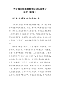 关于第二批主题教育活动心得体会范文（四篇）