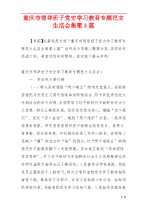 重庆市领导班子党史学习教育专题民主生活会集聚3篇