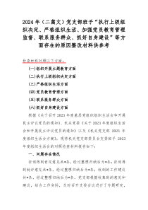 2024年（二篇文）党支部班子“执行上级组织决定、严格组织生活、加强党员教育管理监督、联系服务群