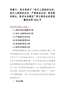 两篇文：党支部班子“执行上级组织决定、执行上级组织决定、严格组织生活、联系服务群众、抓好自身建设