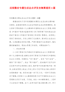 巡视整改专题生活会点评发言集聚通用4篇