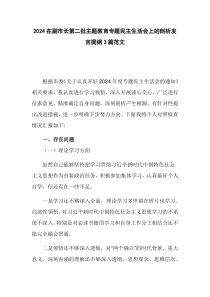 2024在副市长第二批主题教育专题民主生活会上的剖析发言提纲3篇范文