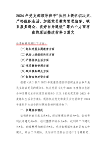 2024年党支部领导班子“执行上级组织决定、严格组织生活、加强党员教育管理监督、联系服务群众、抓