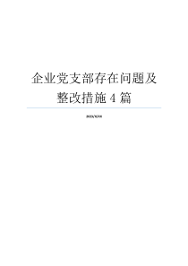 企业党支部存在问题及整改措施4篇