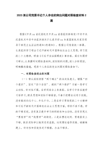 2023某公司党委书记个人存在的突出问题对照检查材料2篇