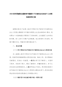 2024某市局副职主题教育专题新六个方面民主生活会个人对照检查材料汇篇