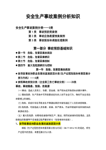 XXXX年注册安全工程师安全生产事故案例分析基础知识