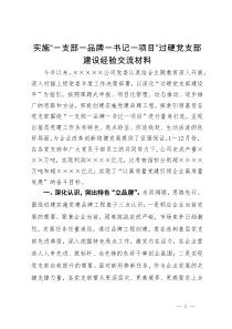 实施“一支部一品牌一书记一项目”过硬党支部建设经验交流材料