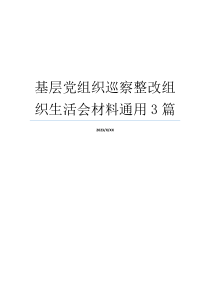 基层党组织巡察整改组织生活会材料通用3篇