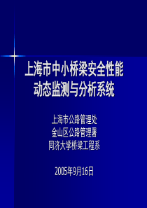 上海市中小桥梁安全性能动态监测与分析系统ppt